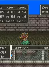 Dragon Quest V: Tenkuu no Hanayome