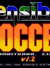 International Sensible Soccer