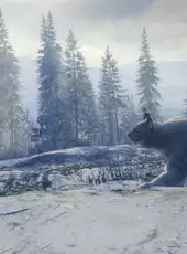 TheHunter: Call of the Wild - Medved-Taiga