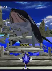 Sonic Adventure DX: Director's Cut