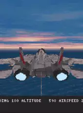 Fleet Defender: The F-14 Tomcat Simulation