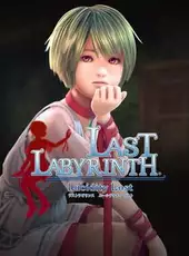 Last Labyrinth: Lucidity Lost