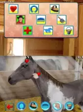 My Western Horse 3D