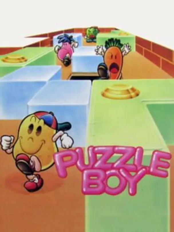 Puzzle Boy