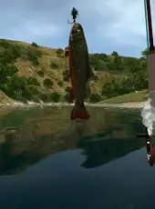 Ultimate Fishing Simulator VR