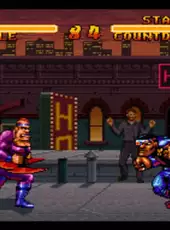 Double Dragon V: The Shadow Falls