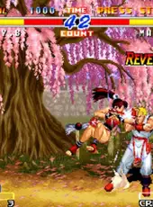 Real Bout Fatal Fury 2: The Newcomers