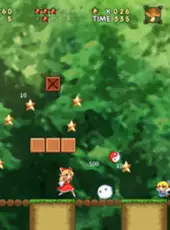 New Super Marisa Land