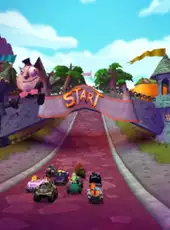 Crash Tag Team Racing