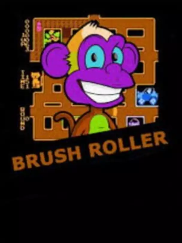 Brush Roller