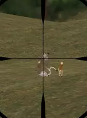 Deer Hunter 5: Tracking Trophies