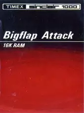 Bigflap Attack