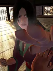 Dragon Fist: VR Kung Fu