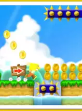 New Super Mario Bros. 2: Coin Challenge Pack C