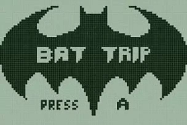 Bat Trip