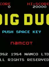 Dig Dug