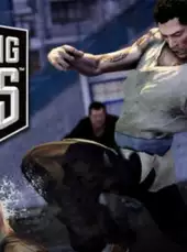 Sleeping Dogs: Drunken Fist Pack