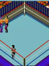 Fire Pro Wrestling: Combination Tag