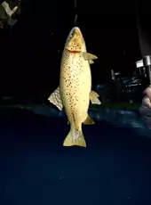 Ultimate Fishing Simulator