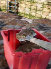 Pool Cleaning Simulator