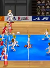 Simple 1500 Series Vol. 54: The VolleyBall - Break Volley Plus