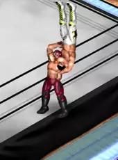 Fire Pro Wrestling World: Fighting Road - Champion Road Beyond