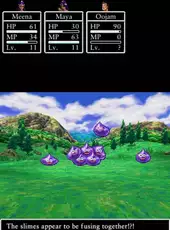 Dragon Quest IV: Chapters of the Chosen