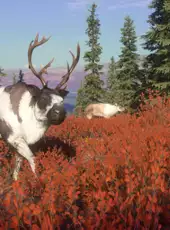 TheHunter: Call of the Wild - Yukon Valley