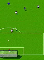 International Sensible Soccer