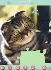 1001 Jigsaw: Cute Cats