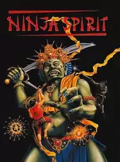 Ninja Spirit