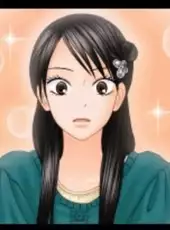 Kimi ni Todoke Special