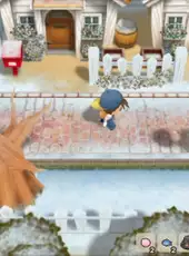 Story of Seasons: Friends of Mineral Town