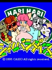 Harihari Seal Paradise