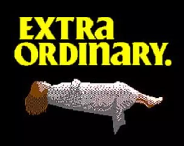 Extra Ordinary