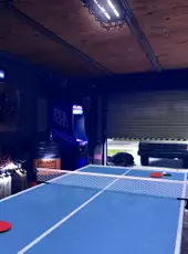 VR Ping Pong Pro