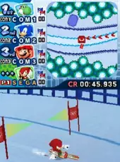 Mario & Sonic at the Olympic Winter Games