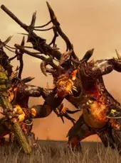 Total War: Warhammer - Dark Gods Edition