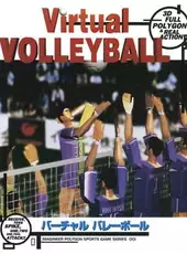 Virtual Volleyball