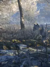 TheHunter: Call of the Wild - Medved-Taiga