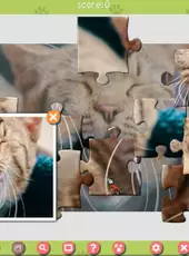 1001 Jigsaw: Cute Cats 3