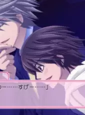 Junjou Romantica: Koi no Doki-doki Daisakusen