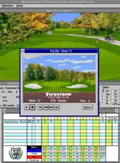 Microsoft Golf 2.0