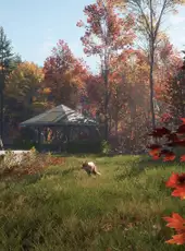 TheHunter: Call of the Wild - New England Mountains