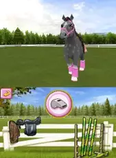 Petz Pony Beauty Pageant