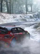 WRC 7