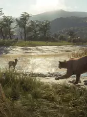 TheHunter: Call of the Wild - Parque Fernando