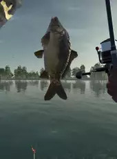 Ultimate Fishing Simulator