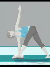 Wii Fit