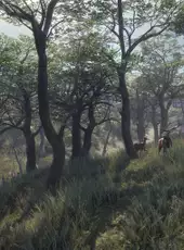 TheHunter: Call of the Wild - Parque Fernando